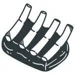 قطعيات الغنم